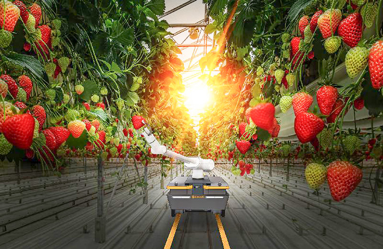 an illustration of mobile robot picking strawberries.